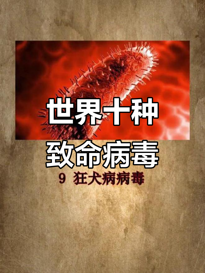这一次疫情的病毒全名是什么？，新冠疫情的病毒名称及科学解释