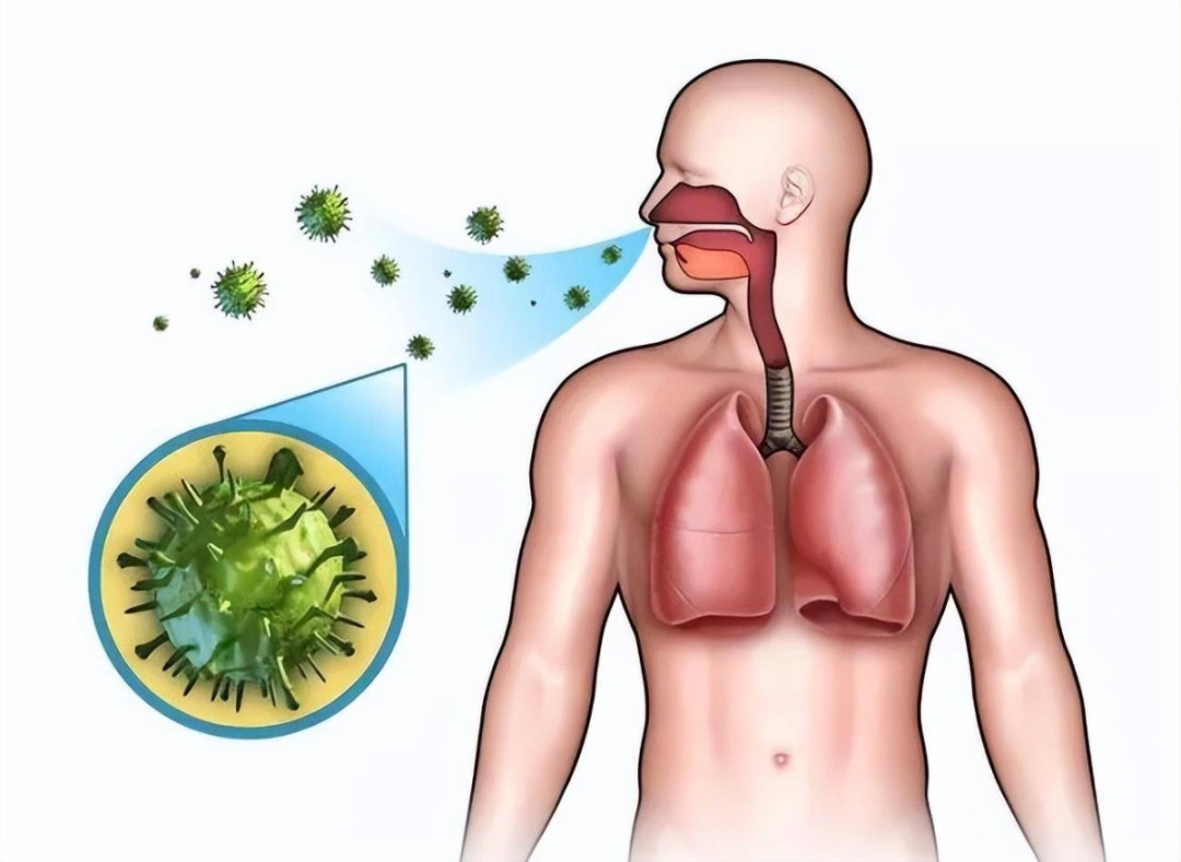 健康防护的重要性