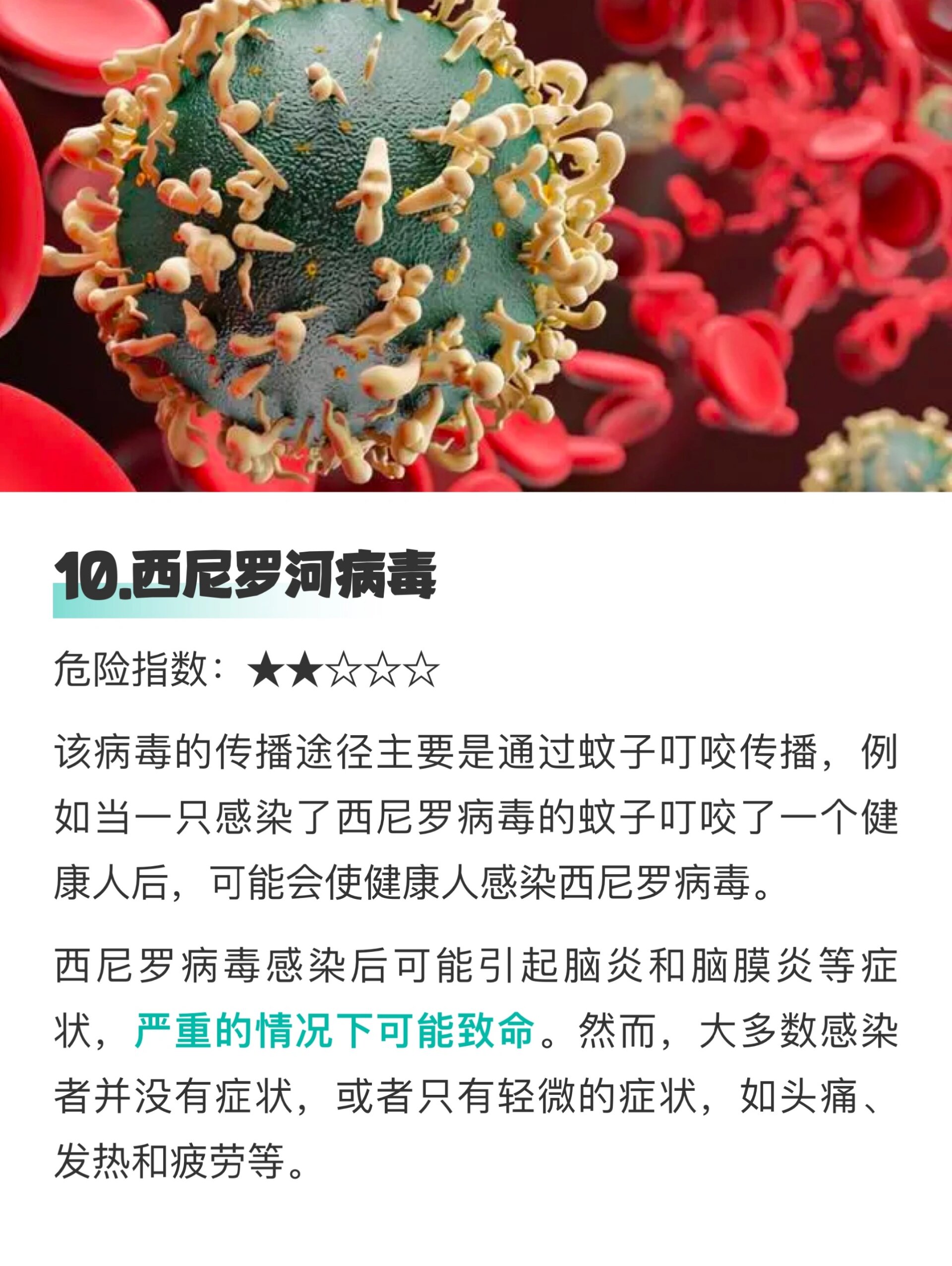 防控措施：科学与合作的力量