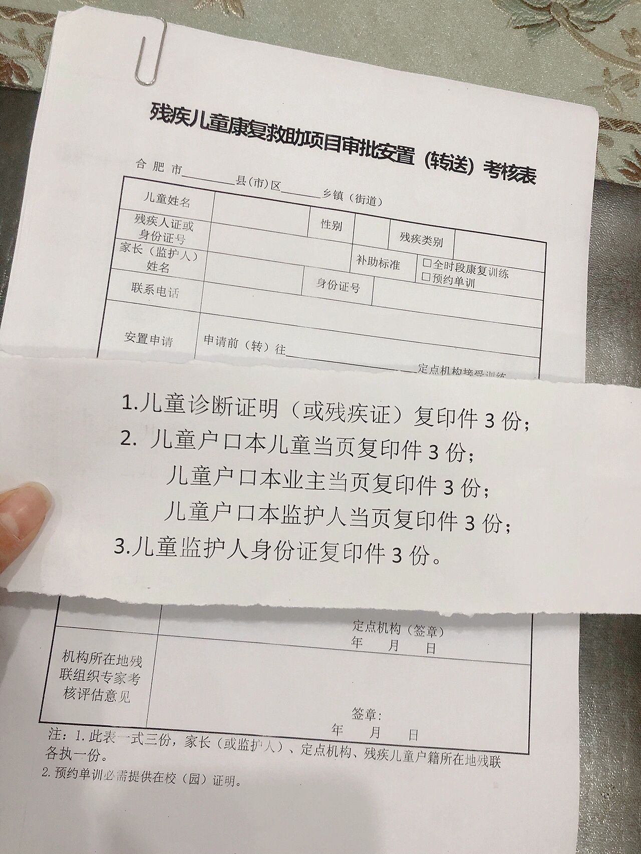 结语：让爱与责任同行