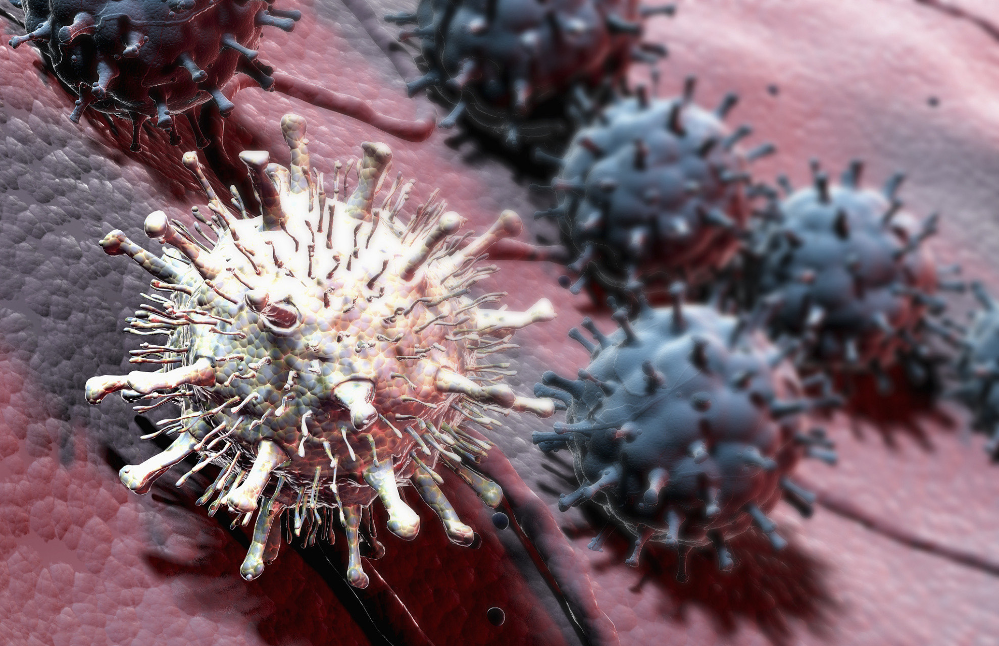 科学应对，理性看待疫情