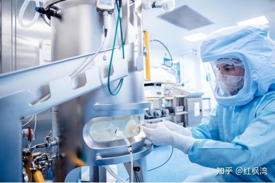 疫情2030年会结束吗？现状如何？，2030年疫情是否结束及当前防控情况分析