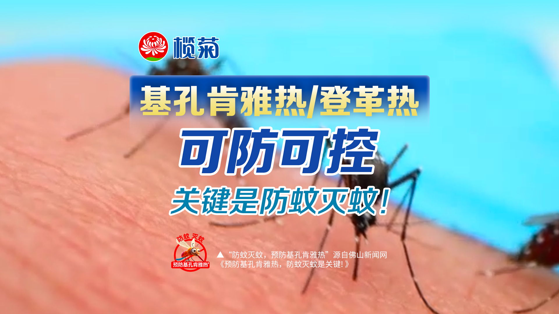 未来的应对策略