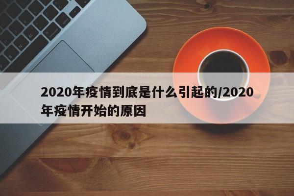 2020年疫情到底是什么引起的/2020年疫情开始的原因