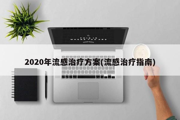 2020年流感治疗方案(流感治疗指南)