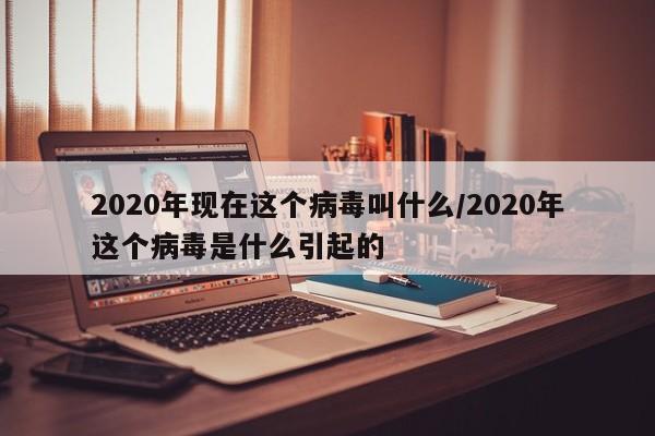 2020年现在这个病毒叫什么/2020年这个病毒是什么引起的