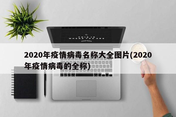 2020年疫情病毒名称大全图片(2020年疫情病毒的全称)