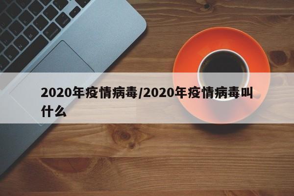 2020年疫情病毒/2020年疫情病毒叫什么
