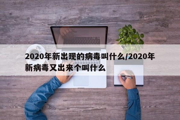 2020年新出现的病毒叫什么/2020年新病毒又出来个叫什么