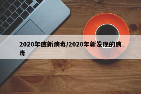 2020年底新病毒/2020年新发现的病毒